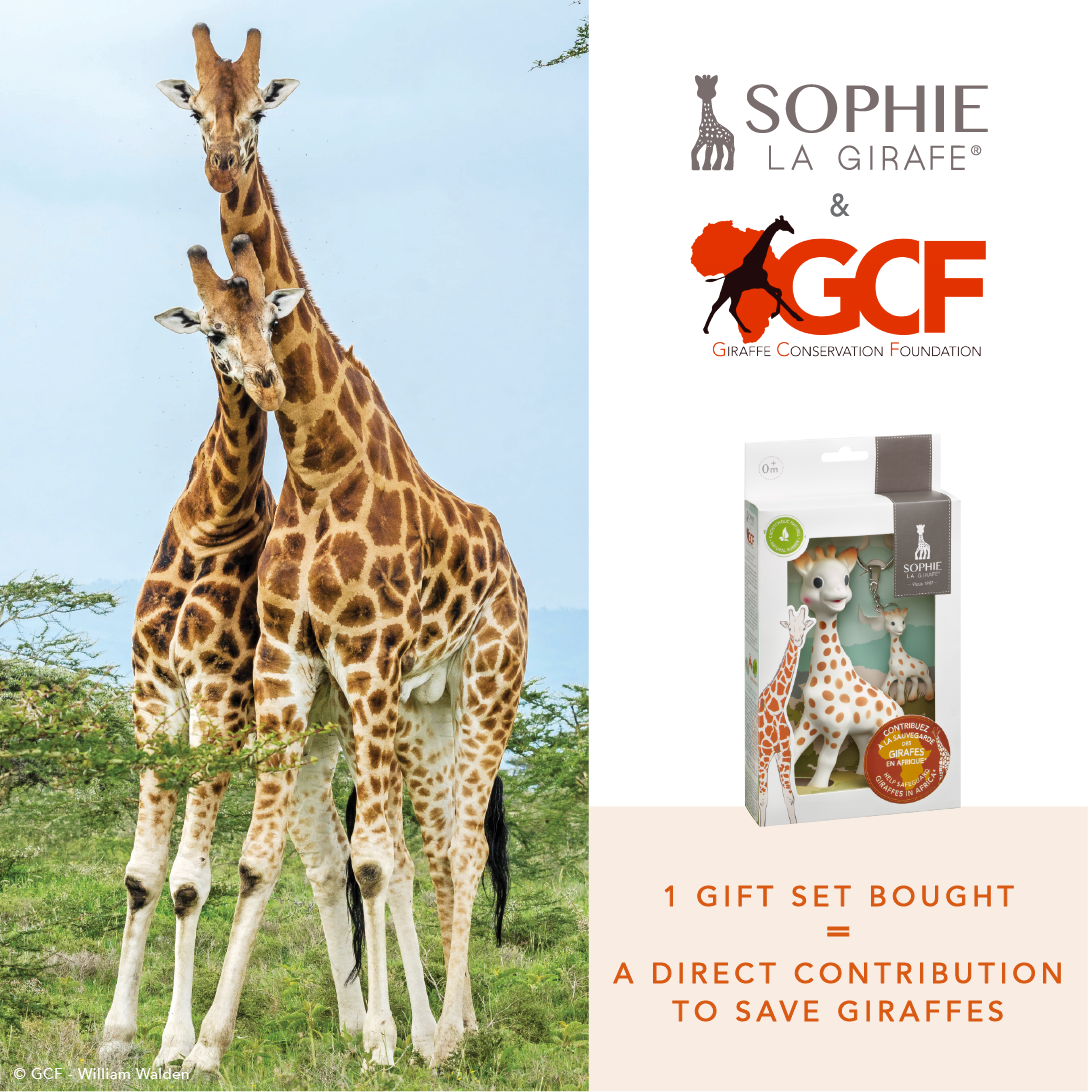 キリンを絶滅の危機から守ろう！Giraffes needs our help, now more than ever!!